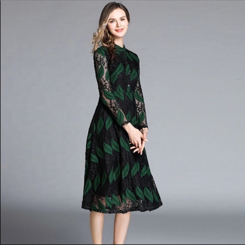 Beautiful green and black lace dress